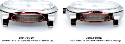 rolex watch label|Rolex model number lookup.